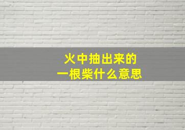 火中抽出来的一根柴什么意思