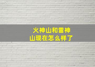 火神山和雷神山现在怎么样了