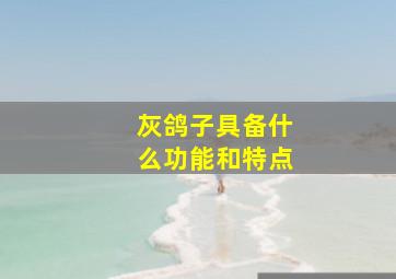 灰鸽子具备什么功能和特点