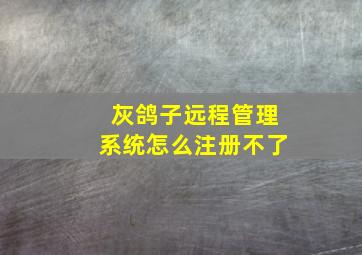 灰鸽子远程管理系统怎么注册不了