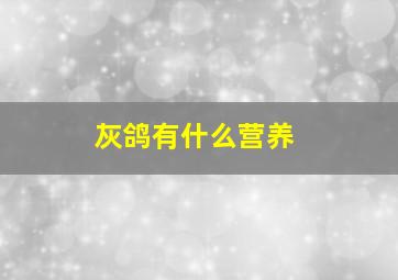 灰鸽有什么营养