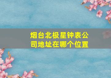 烟台北极星钟表公司地址在哪个位置