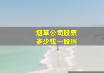 烟草公司股票多少钱一股啊