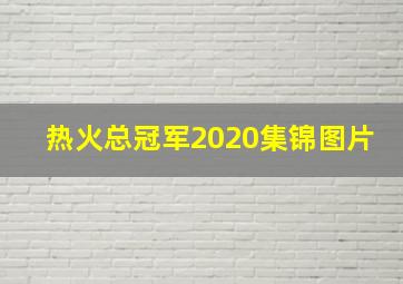 热火总冠军2020集锦图片