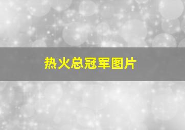 热火总冠军图片