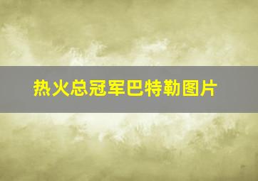 热火总冠军巴特勒图片