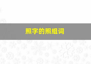 照字的照组词