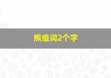 照组词2个字