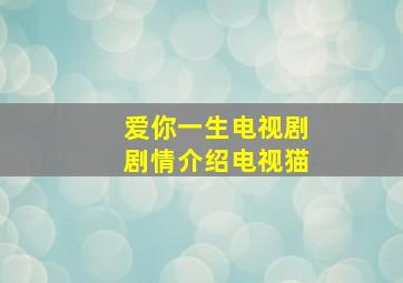 爱你一生电视剧剧情介绍电视猫