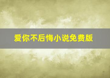 爱你不后悔小说免费版