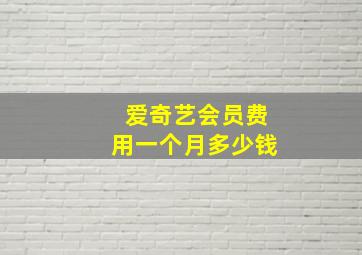 爱奇艺会员费用一个月多少钱