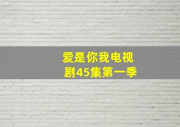 爱是你我电视剧45集第一季