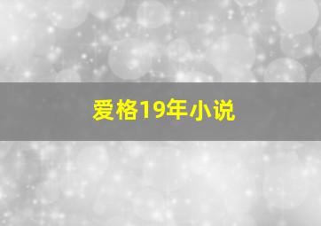 爱格19年小说