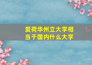 爱荷华州立大学相当于国内什么大学