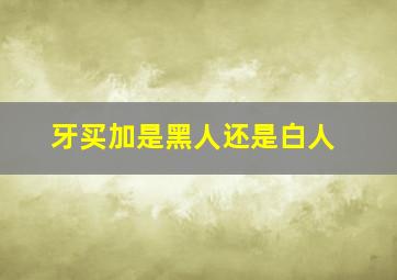 牙买加是黑人还是白人