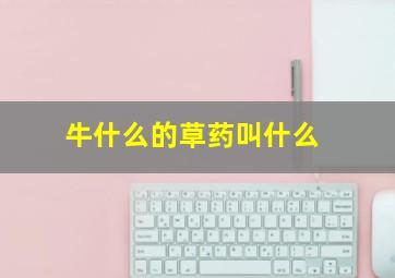 牛什么的草药叫什么