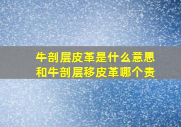 牛剖层皮革是什么意思和牛剖层移皮革哪个贵