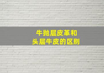 牛抛层皮革和头层牛皮的区别