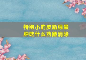 特别小的皮脂腺囊肿吃什么药能消除