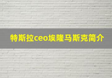 特斯拉ceo埃隆马斯克简介