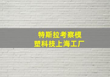 特斯拉考察模塑科技上海工厂