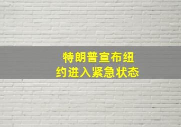 特朗普宣布纽约进入紧急状态