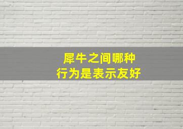 犀牛之间哪种行为是表示友好