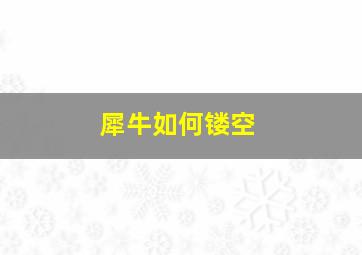 犀牛如何镂空