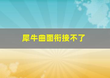 犀牛曲面衔接不了