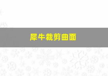 犀牛裁剪曲面