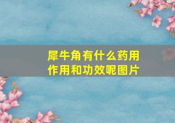 犀牛角有什么药用作用和功效呢图片