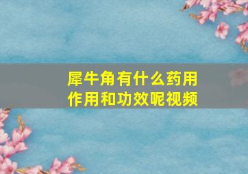 犀牛角有什么药用作用和功效呢视频