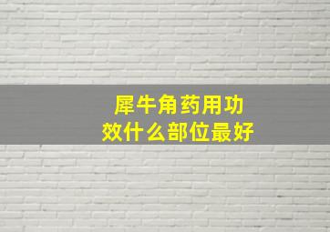 犀牛角药用功效什么部位最好