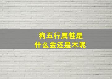 狗五行属性是什么金还是木呢