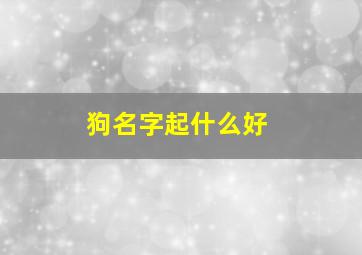 狗名字起什么好