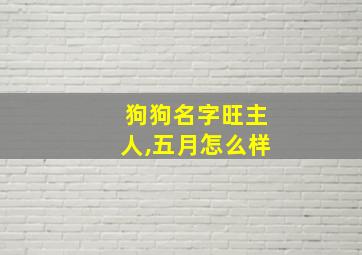 狗狗名字旺主人,五月怎么样