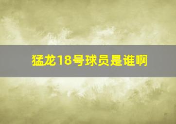 猛龙18号球员是谁啊