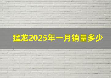 猛龙2025年一月销量多少