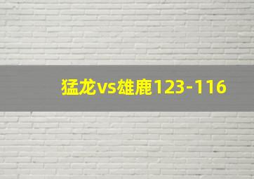 猛龙vs雄鹿123-116