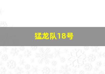 猛龙队18号