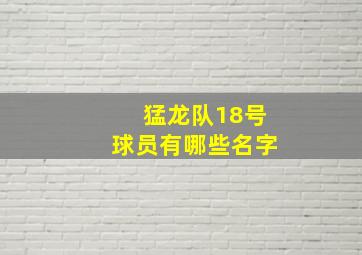 猛龙队18号球员有哪些名字