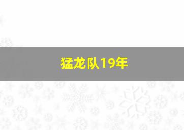 猛龙队19年