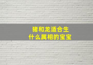 猪和龙适合生什么属相的宝宝