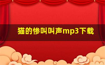 猫的惨叫叫声mp3下载