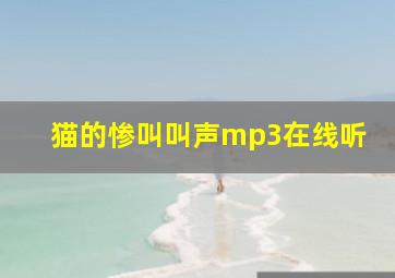 猫的惨叫叫声mp3在线听