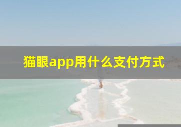 猫眼app用什么支付方式