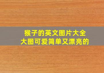 猴子的英文图片大全大图可爱简单又漂亮的