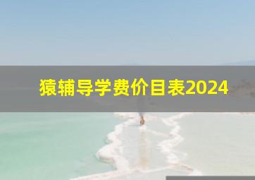 猿辅导学费价目表2024