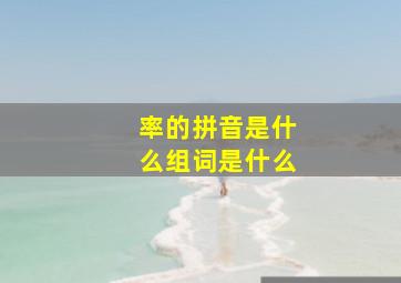 率的拼音是什么组词是什么