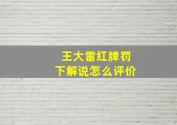 王大雷红牌罚下解说怎么评价